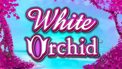 play white orchid|White Orchid Online Slot .